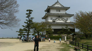 讃岐富士が一望です