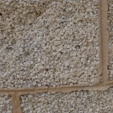 ハメリンプールへ行く途中にあった貝殻ブロックの切り出し場跡