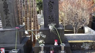 お墓は一人で訪ねるのは寂しいから誰かと行くのがいいかな。