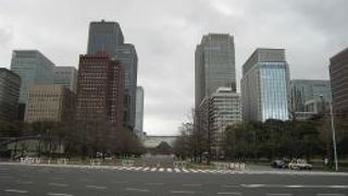 東京駅が見えます
