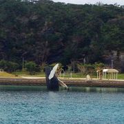 綺麗な海&夕日とホエールウォッチング