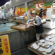 潮風王国（道の駅）でお魚を買う