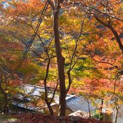 京都の奥座敷、納涼・紅葉の名所 ♪