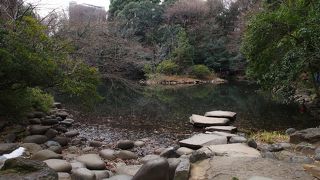 東大構内のお散歩スポット