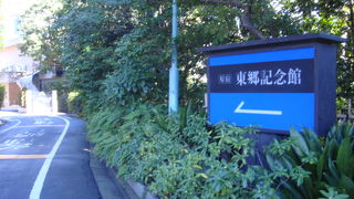 もうすぐ紅梅が見ごろ