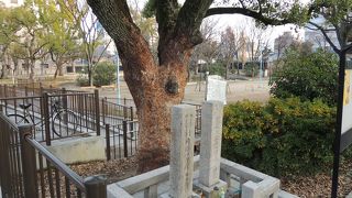 幕使に追われここで自刃したところです