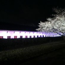 桜祭りの時の桜と多聞櫓のライトアップ。