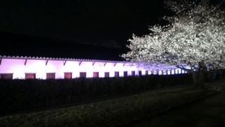 城跡が、城跡らしく整備され始めました！