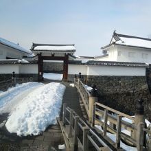 水面に写る夜桜も綺麗です。