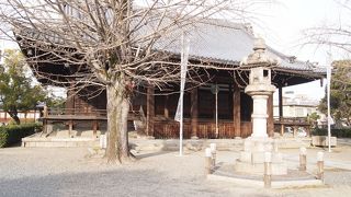 歴史ある本堂と広い境内