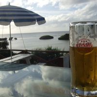 食堂から海が見えます