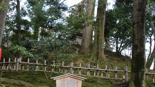 兼六園の人工の山