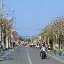 先導は普通のバイクです！