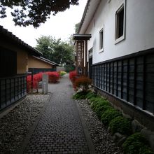 夕暮れ迫る「栗の小径」