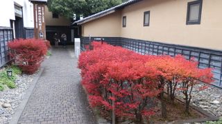 ドウダンツツジの紅葉が映える「栗の小径」