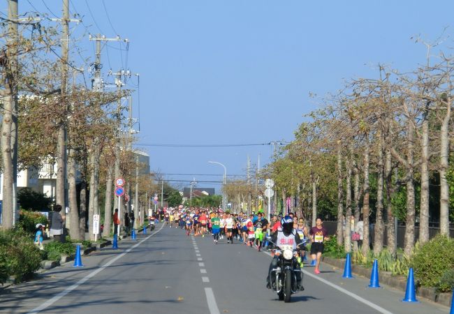 石垣島マラソン大会