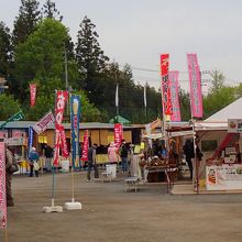 味噌おでんや山菜天ぷら、芝桜の鉢植えなども売っています