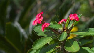お薦めです　通称　鉄砲館　