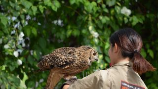 大人でも楽しめる