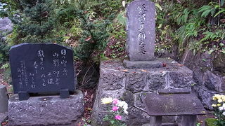 ただ一人の貴重な生存者