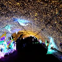 光のトンネルはフェアリーが飛んでいます。