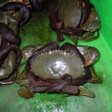 ソフトシェルクラブ・臭みもなく美味しかった!!