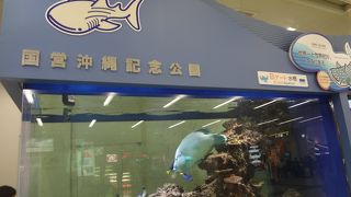 国営沖縄記念公園の水槽