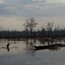 雰囲気のある風景（参道のまわりは数年前の洪水で池になった）