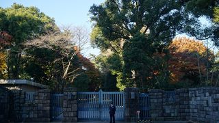 公開は11月の3日間だけです