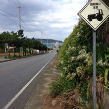 遠目から橋と海