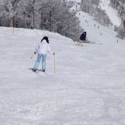 温泉と一緒に楽しめます