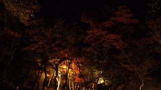 四季折々の風景