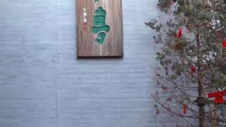 一面ガラスの向こうは桜