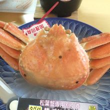 ドライブイン 砂丘会館 