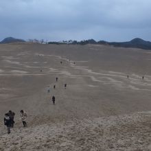 鳥取砂丘 