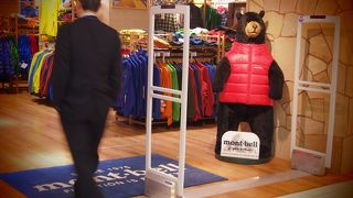 アルビのウリです