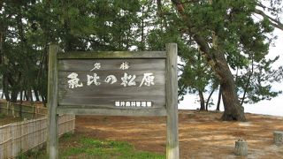 日本三大松原のうちのひとつ