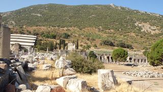 テラスハウスの上部から見下ろすと形と広さがわかります。エリア内では特に見るべきものはない。