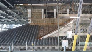 真近でみれる。