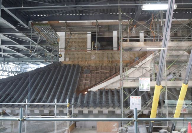 真近でみれる。