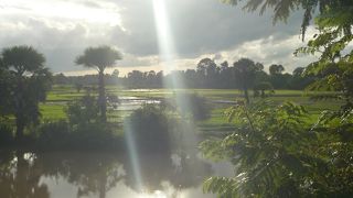 彼は一人ぼっちでは無い。