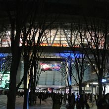 夜のけやきひろば。　季節がら葉っぱはありません