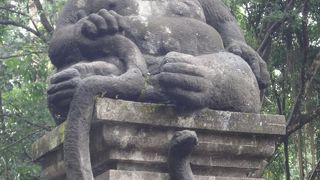 モンキーフォレスト