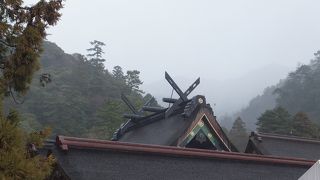 やっぱり良かった。念願叶いました。