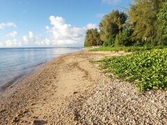 Pacific Islands Club Saipan 写真