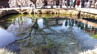 澄んだ湧水池と富士山が美しい