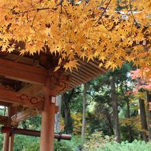 どこも綺麗なので、どこにカメラ向けてもいい感じの写真が！