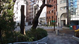 公園内は自由広場、ベンチ等があり一息つくのに良いです。