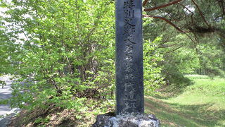 残念、縄文のビーナス・仮面の女神