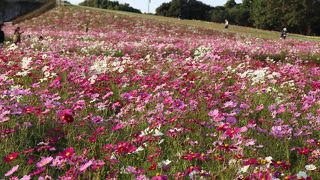 久々に行きました。